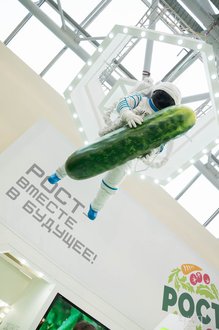 Автор фото: Delexir