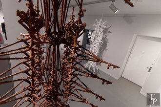 Автор фото: Arichi