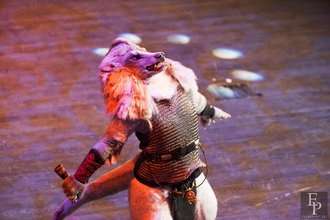 Автор фото: Arichi