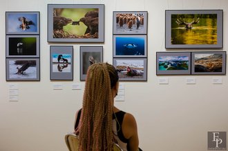 Автор фото: Arichi