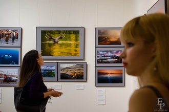 Автор фото: Arichi