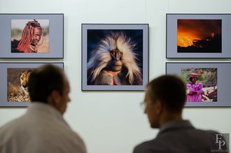 Автор фото: Arichi