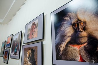 Автор фото: Arichi