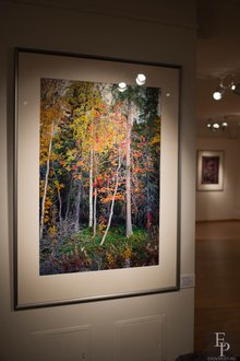 Автор фото: Delexir