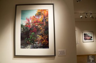 Автор фото: Delexir