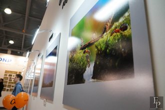 Автор фото: Delexir