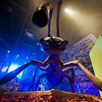 Гигантские насекомые 2016