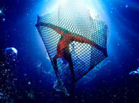 Человек-амфибия. Театрально-цирковое шоу