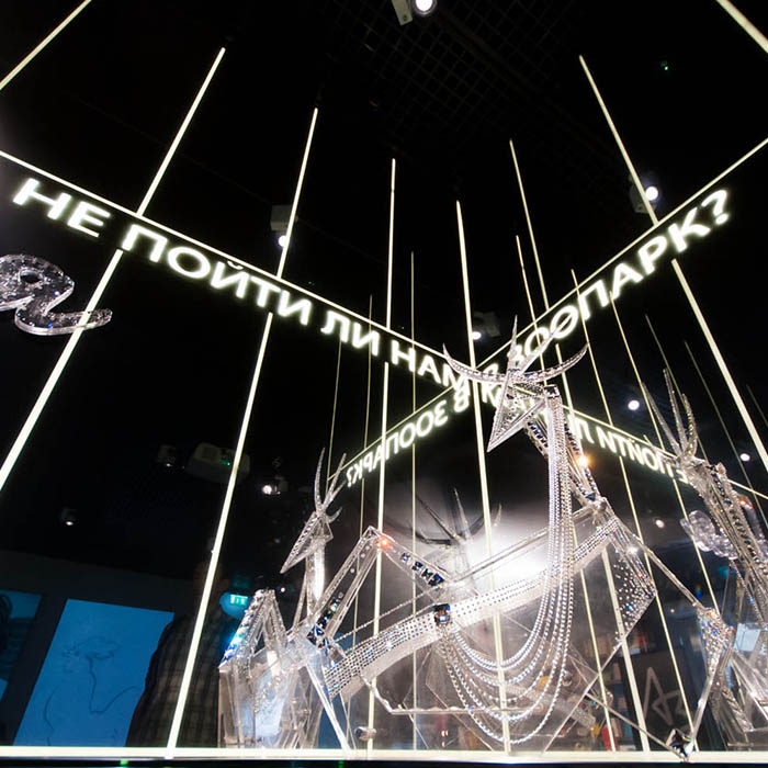 Волшебная клетка. А не пойти ли нам в зоопарк? фото видео отчёт