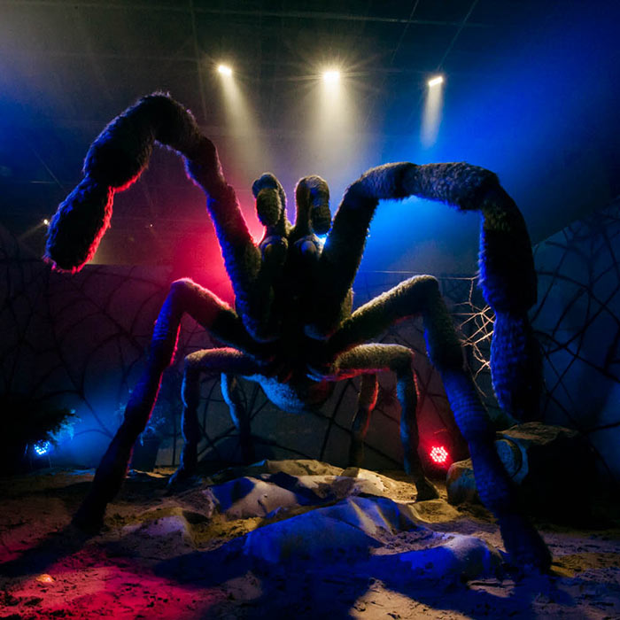 Гигантские насекомые 2016 фото видео отчёт