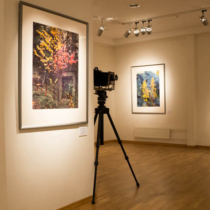 Русский Север: четыре сезона фото видео отчёт